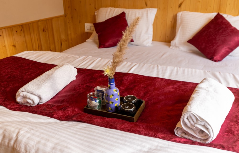 The Evara Stays Jibhi Rooms Pictures